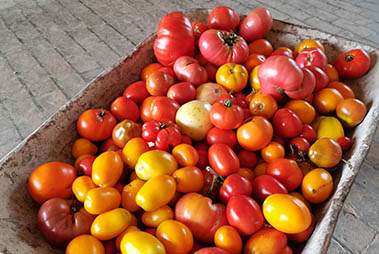mangiacinema-cibo-autore-2021-riccio-parma-stuard